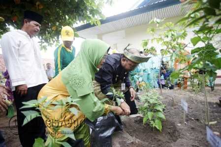 Walikota Tanjungpinang, Lis Darmansyah saat menanam pohon sebagai bentuk penghijauan di SMP Negeri 10 Kota Tanjungpinang, Jumat.