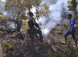 Tampak Babinsa dan Warga Kelarik Air Mali sedang memadamkan api yang membakar kebun cengkeh warga.