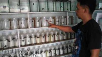 Rahut Tobroni, Ketua Panitia pelaksana kegiatan