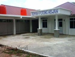 LSM ICTI-Ngo Sorot Proyek RPH Di Tanjung Lanjut