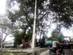 Tiang Listrik Nyaris Tumbang Di Wiratno