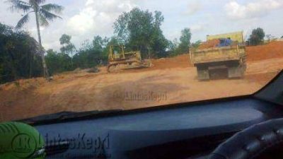 PT. SBC Leluasa Timbun Hutan Mangrove di Bintan