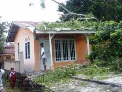 Rumah Warga Rusak Akibat Tertimpa Pohon