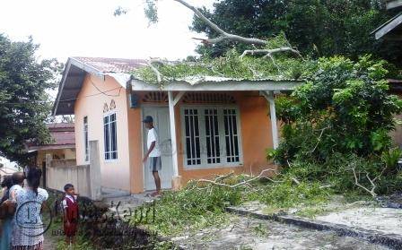 Inilah sebuah rumah yang rusak akibat tertimpa pohon di Jalan Pompa Air Km 2,5 Kota Tanjungpinang, Senin (29/2)