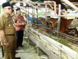 Walikota Buka Workshop Budidaya Pertanian