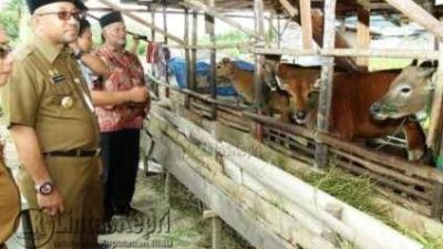 Walikota tanjungpinang H Lis Darmansyah SH Ketika Meninjau