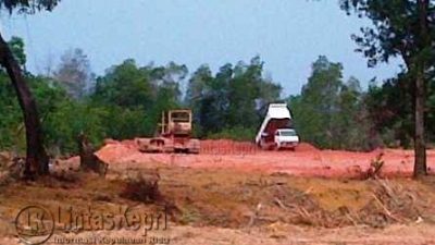 Aktivitas penimbunan hutan Mangrove di Tokojo, Kelurahan Kijang Kota, Kecamatan Bintan Timur