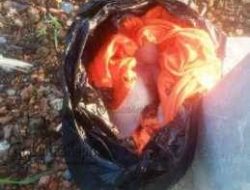 Sesosok Bayi Perempuan Ditemukan Dibawah Jembatan