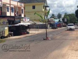 Alamak, Warga Tanam Pohon Pisang Ditengah Jalan Kijang Lama