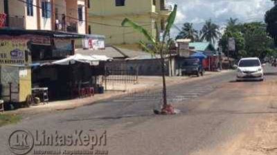 Tak kunjung diperbaiki, warga tanam Pohon POisang ditengah Jalan Kijang Lama, Senin (9/5).