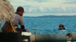 Jang menunggu keningnya ditarik menuju darat, tempat Ikan Bilis Labak ditanggul