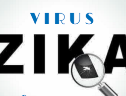 Singapura Tertular Zika, Ini Kata Kepala Dinkes