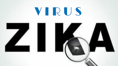 Virus Zika. Foto: Net