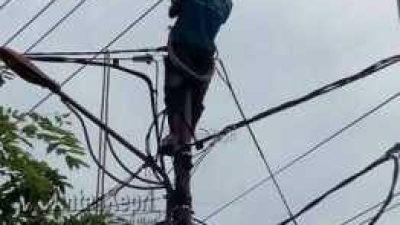 Terlihat petugas PLN saat melakukan pemeliharaan jaringan distribusi.