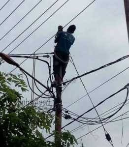 Terlihat petugas PLN saat melakukan pemeliharaan jaringan distribusi.