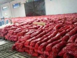 DJBC Khusus Kepri Hibahkan Barang Sitaan Negara Ke Pemkab Lingga