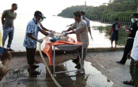 Inilah mayat tanpa yang sulit dikenali yang ditemukan oleh nelayan di Kecamatan Tambelan