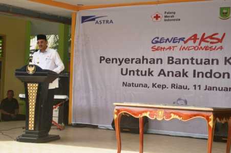 Bupati Natuna, Hamid Rizal