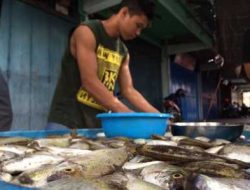 Ikan Khas Perayaan Imlek Mencapai Rp 300 Ribu Perkilo