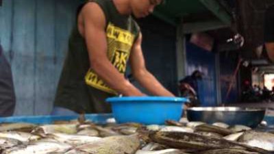 Ikan Dingkis khas Imlek di jual pedagang di Jalan Merdeka Tanjungpinang.