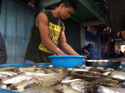 Ikan Dingkis khas Imlek di jual pedagang di Jalan Merdeka Tanjungpinang.