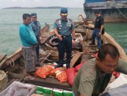 Lagi-Lagi TNI AL Tangkap Kapal Penyelundup