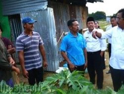 Gubernur Blusukan Ke Kebun Wacopek