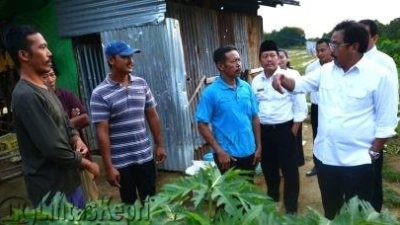 Gubernur Blusukan Ke Kebun Wacopek