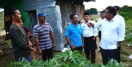 Nurdin usai meninjau lokasi perkebunan sayur di Wacopek, Bintan, Senin (16/1)