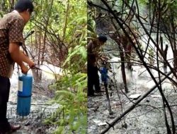 Hutan Lindung Sungai Pulai Terbakar