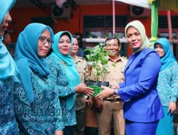 18 Ribu Bibit Cabai Ditebar Saat Pelatihan Diversifikasi Pangan