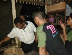 Penemuan Bayi Dalam Kardus di Tanjungpinang Gegerkan Warga