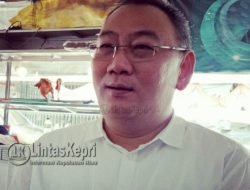 Penyengat Berpeluang Tarik Wisman, Haripinto: Keselamatan Transportasi Masih Minim