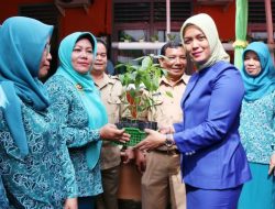 Kurangi Lonjakan Harga, PKK Bintan Imbau Pekarangan Rumah Ditanami Cabai dan Sayuran