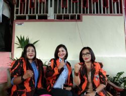 DPC Srikandi PP Bintan Berencana Gelar Bazar Kerajinan