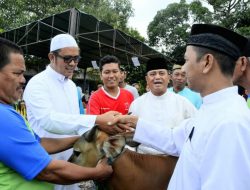 Pemkab Bintan Siapkan 17 Ekor Sapi Kurban