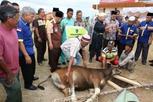 Bersihkan Harta dengan Berqurban