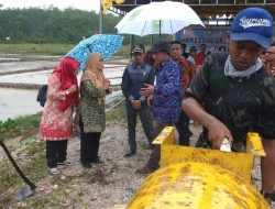 Genjot Swasembada Pangan, Wabup Ngesti Tanam Padi di Air Lengit