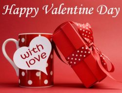 Pemko Tanjungpinang Imbau THM dan Penginapan Tidak Rayakan Valentine Day