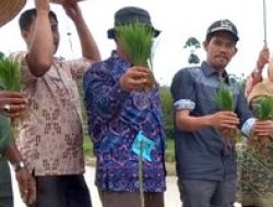 Ketua DPRD Natuna Apresiasi Langkah Pemerintah Sejahterakan Petani Padi