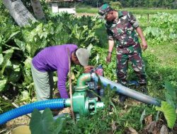 Babinsa Bukit Padi Bantu Petani Mengairi Sawah di Musim Kemarau