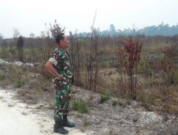 Babinsa Binjai Monitoring Karhutla Diwilayah Binaannya