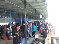 Pelindo Bagikan 1.970 Tiket Gratis ke Pemudik