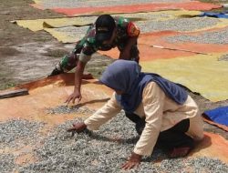 Babinsa Teluk Buton Bantu Warga Binaannya Jemur Bilis