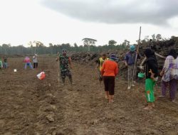 Babinsa Semedang Ikut Tanam Padi Perdana bersama Poktan Krida Tani