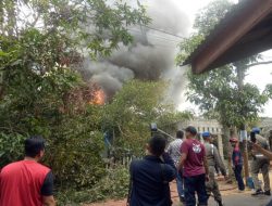 10 Rumah di Tanjung Unggat Terkena Dampak Terbakarnya Pohon Kayu Are