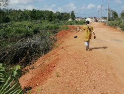 Hari Ini Walikota Panggil Kadis DLH dan PUPR Soal Mangrove Ditimbun di Tanjungpinang