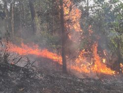 Diduga Bakar Sampah Sembarangan, Lahan di Tanjung Unggat Terbakar