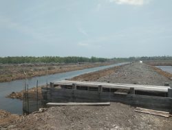 10 Hektare Tambak Udang di Lingga Diisi Ikan Bandeng