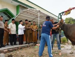 Isdianto: Yang Dicita-citakan, Harus Siap Dikorbankan